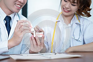 Dentist doctor in white uniform holding teeth model and dental tool, medical concept