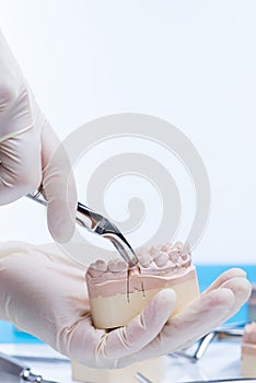 Dentist examinates the teeth mold