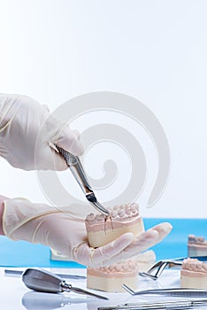 Dentist examinates the teeth mold