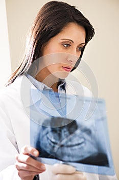 Dentist Examining X-Ray