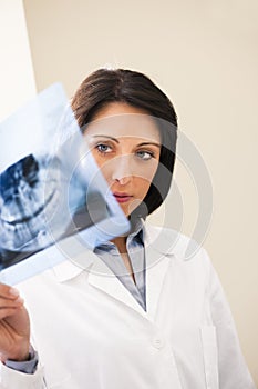 Dentist Examining X-Ray