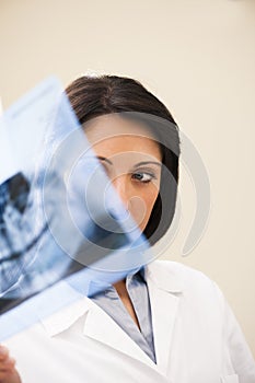 Dentist Examining X-Ray