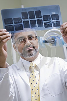Dentist Examining X-Ray Report