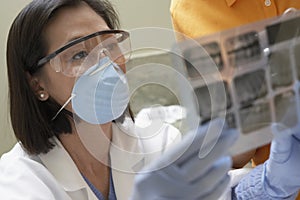 Dentist Examining Tooth X-Ray