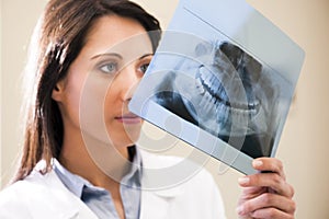 Dentist Examining X-Ray