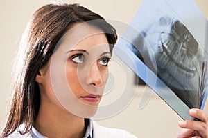 Dentist Examining X-Ray