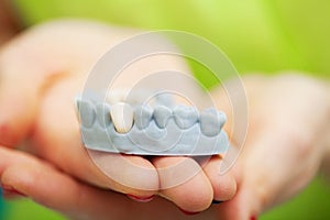 Dentist hand holding of jaw model of teeth and cleaning dental with dental tool. Technical shots on a dental prothetic