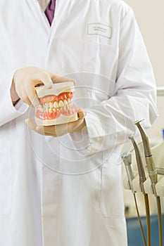 Dentist in his surgery, he holds a denture