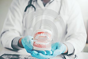 Dentist holding a denture learning how to teeth At dentistÂ’s of