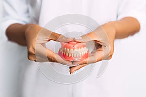 The dentist is holding dentures in his hands. Dental prosthesis in the hands of the doctor close-up. Front view of complete