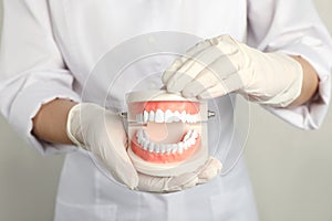 Dentist holding typodont teeth on light background, closeup