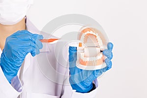 The dentist holds dentures with dental cleaning equipment.