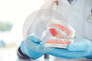 Dentist learning how to brush teeth