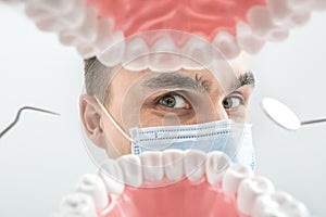 Dentist looks through jaw model