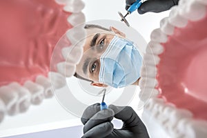 Dentist looks through jaw models