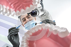 Dentist looks through jaw models