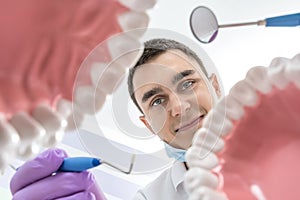 Dentist looks through jaw models