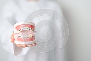 Dentist with Orthodontic tooth model and bracket or brace. Clean and Scrape off tartar. May Orthodontic Health Day, March Oral