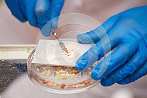 Dentist prepares solution for seals