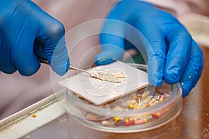 Dentist prepares solution for seals