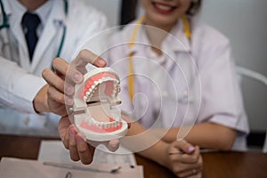 Dentist showing artificial teeth. orthodontist holding jaw model