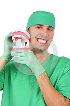 Dentist showing a big reproduction model of teet