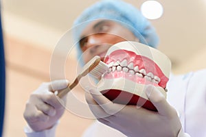 Dentist showing human teeth model and demonstration of brushing teeth.