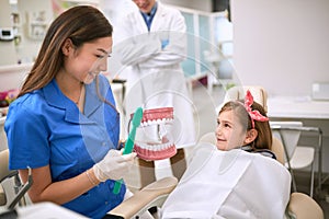 Dentist showing to patient on jaw model oral hygiene