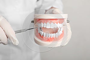 Dentist showing typodont teeth with tool on light background, closeup