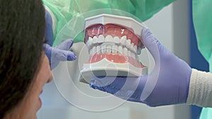 Dentist shows the client layout of human teeth
