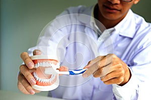 dentist work on the table with Denture and teeth x-ray