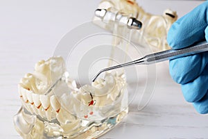 Dentist working with model of oral cavity with teeth at table