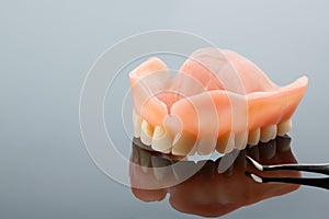 Dentition and probe photo