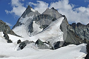 Dents de Bouquetin photo