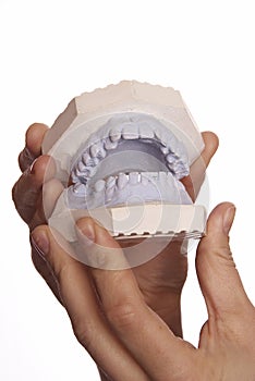 Dents model in dentists hands