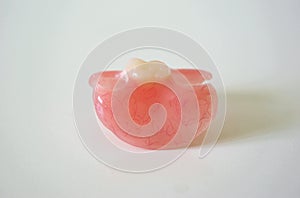 Denture Butterfly on a light background