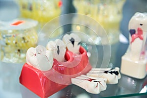 Denture treatment, prosthetic dentistry, medicine