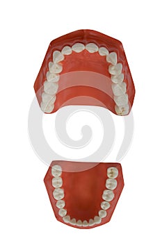 Dentures, dental prosthesis
