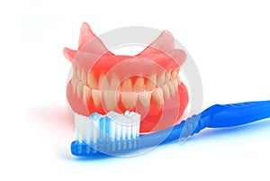 Dentures and toothbrush
