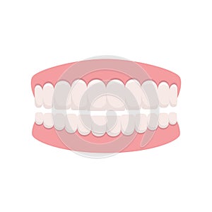 Dentures vector design illustration