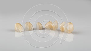 Dentures on a white background, dental implants