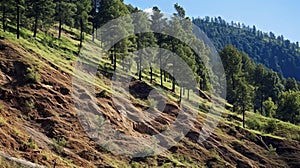 Denuded mountain side due to logging