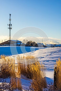 Denver Metro Area Residential Winter landscape with communication tower
