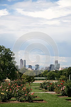 Denver skyline