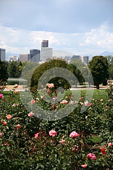 Denver skyline