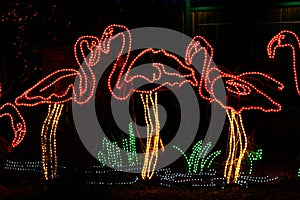 Denver Zoo Lights - Flamingo