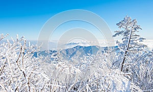 Deogyusan in winter,korea