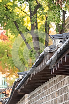 Deoksugung Stonewall Walkway with beautiful autumn foliage.