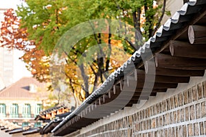 Deoksugung Stonewall Walkway with beautiful autumn foliage.