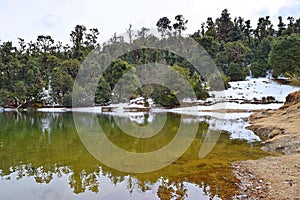 Deoria or Deoriya Tal Lake  with Lush Green Trees and Snow - Winter Himalayan Landscape, Uttarakhand, India